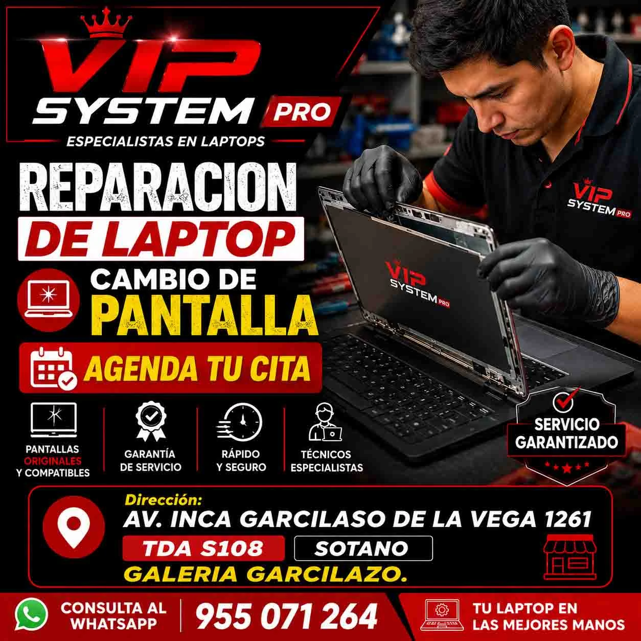 VIP SYSTEMS PRO VIP SYSTEMS PRO — Soporte técnico