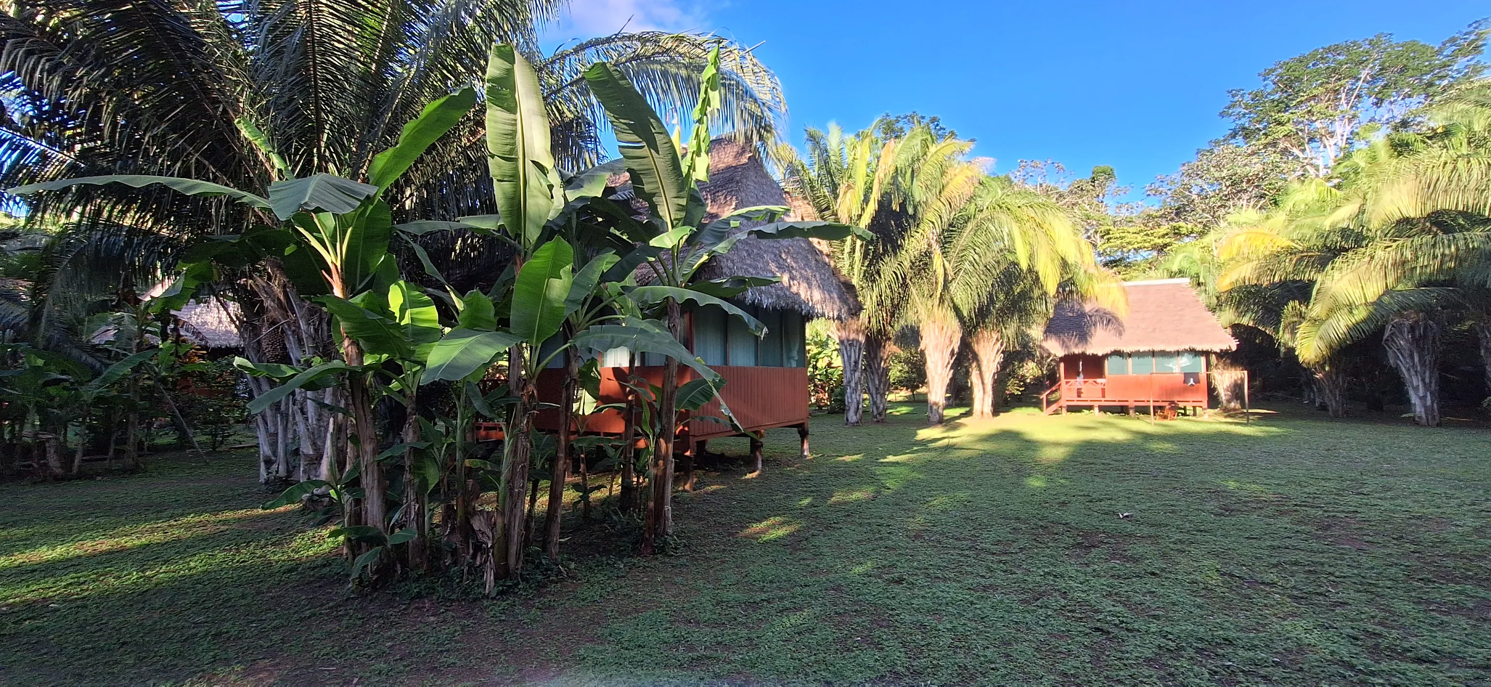 Amazon Garden Lodge