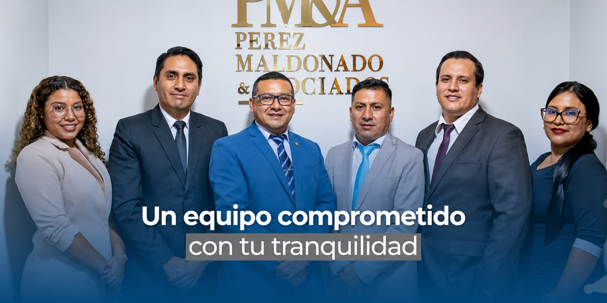 Pérez Maldonado & Asociados