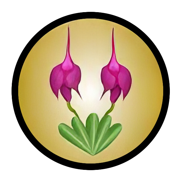 Logo de Hostal Huagancu