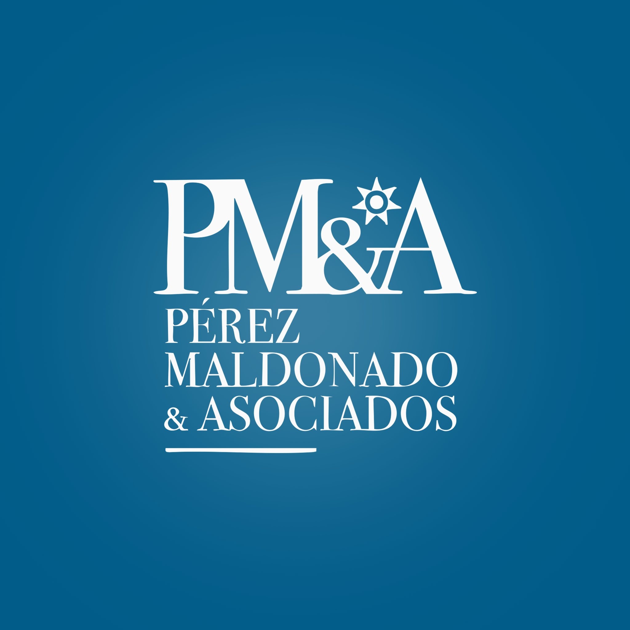 Logo de Pérez Maldonado & Asociados